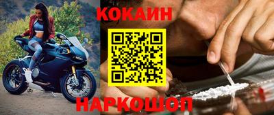 гашик Можга