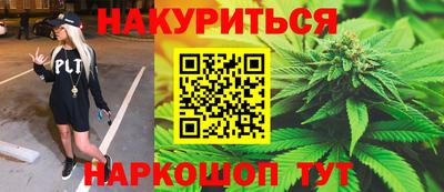 гашик Можга