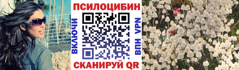 наркота  Дюртюли  Галлюциногенные грибы прущие грибы 