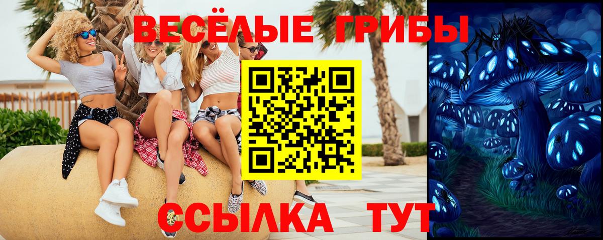 Псилоцибиновые грибы GOLDEN TEACHER Дюртюли
